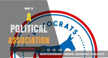 Understanding Political Associations: Roles, Functions, and Impact on Democracy