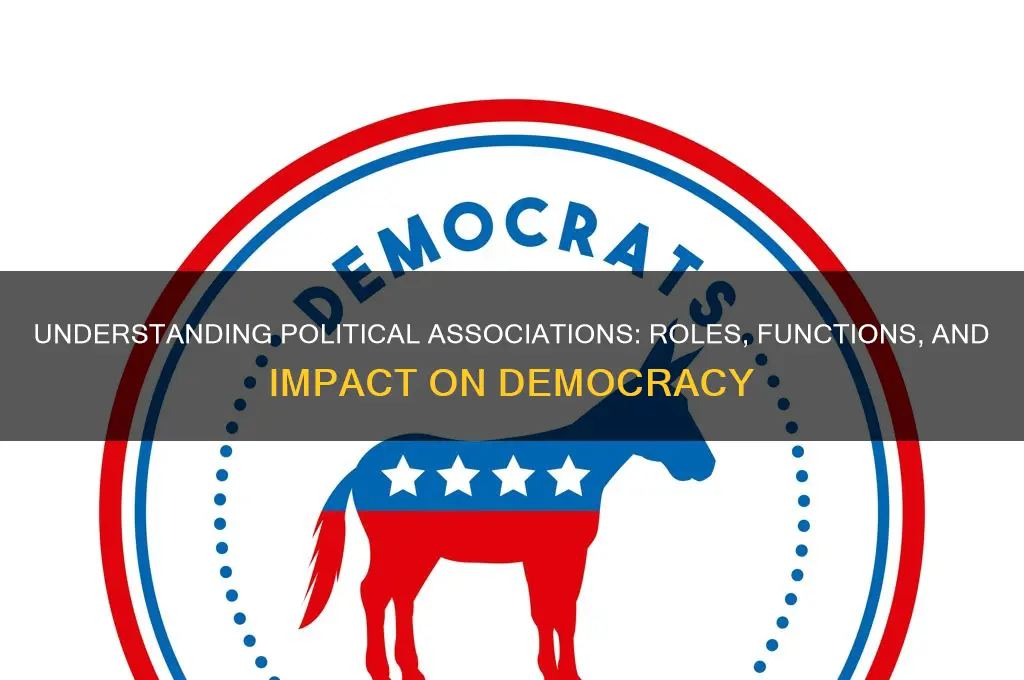 what is a political association