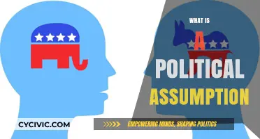 Understanding Political Assumptions: Unveiling the Hidden Beliefs Shaping Policies