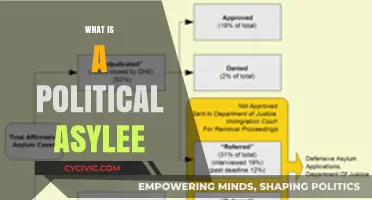 Understanding Political Asylum: Rights, Process, and Protection for Asylees
