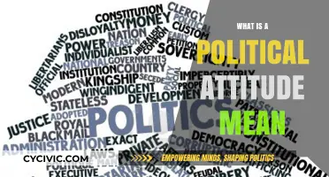 Decoding Political Attitudes: Understanding the Meaning Behind Public Opinion