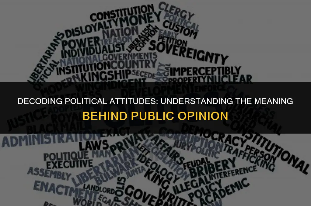 what is a political attitude mean