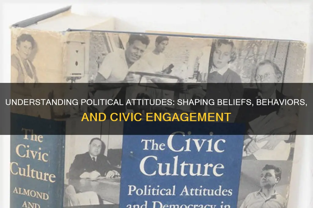 what is a political attitude