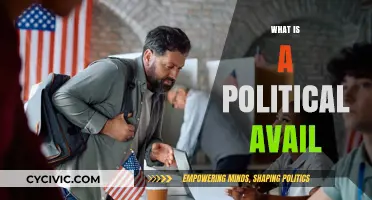 Understanding Political Avails: Definition, Role, and Impact in Campaigns