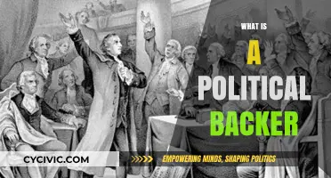 Understanding Political Backers: Their Role, Influence, and Impact on Campaigns