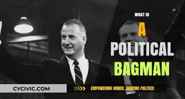 Unveiling the Role of a Political Bagman: Power, Influence, and Secrets
