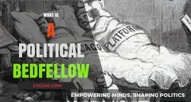 Understanding Political Bedfellows: Strange Alliances and Their Impact on Policy