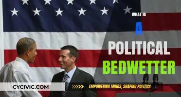 Understanding the Term: What Does Political Bedwetter Mean?