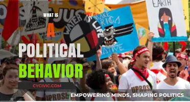 Understanding Political Behavior: Dynamics, Influences, and Real-World Implications