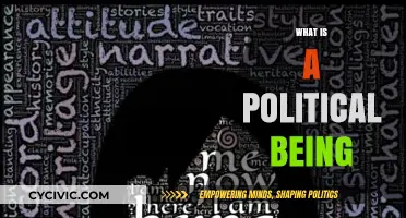 Understanding the Essence of a Political Being: Identity, Power, and Society