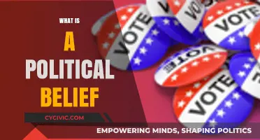 Understanding Political Beliefs: Core Principles and Their Impact on Society