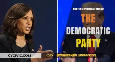 Understanding the Democratic Party's Political Bias: Core Values and Policies