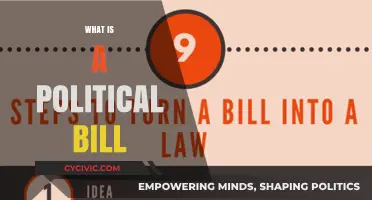 Understanding Political Bills: Definition, Purpose, and Legislative Process Explained