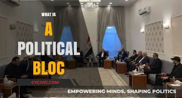 Understanding Political Blocs: Formation, Influence, and Global Impact Explained