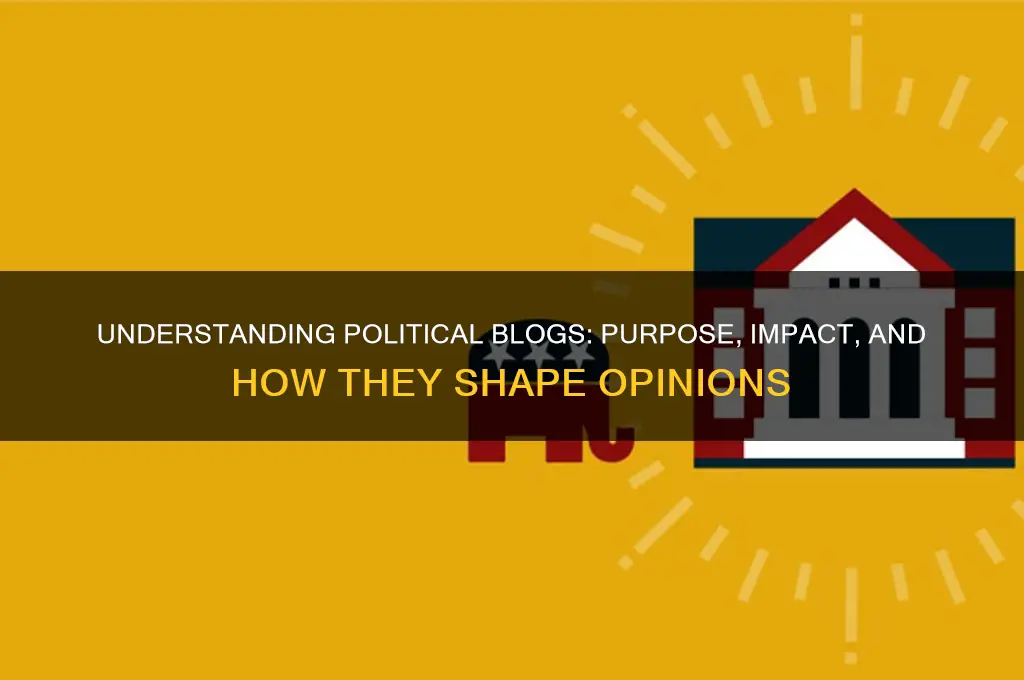 what is a political blog