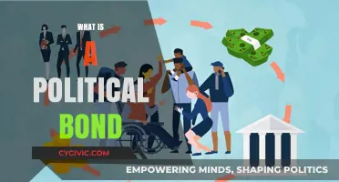 Understanding Political Bonds: Their Role, Impact, and Significance in Society