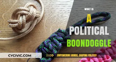 Understanding Political Boondoggles: Wasteful Projects and Their Impact on Society