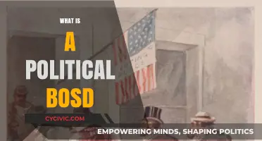 Understanding the Role and Impact of a Political Boss