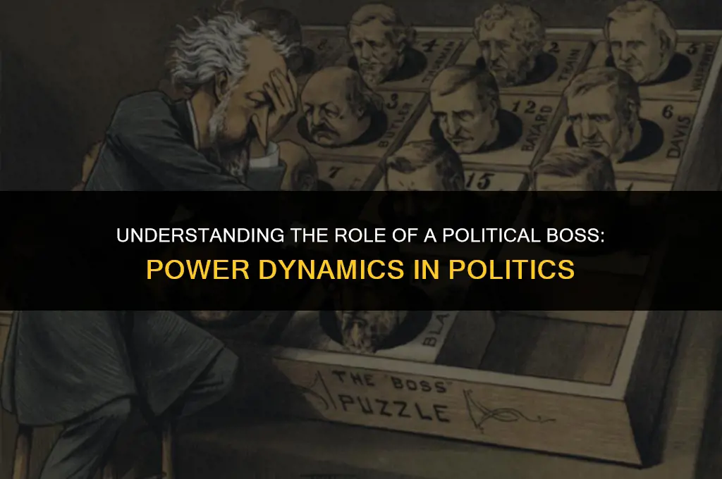 what is a political boss mean