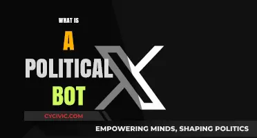 Understanding Political Bots: Their Role, Impact, and Influence in Politics
