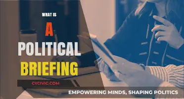 Understanding Political Briefings: Essential Tools for Informed Decision-Making