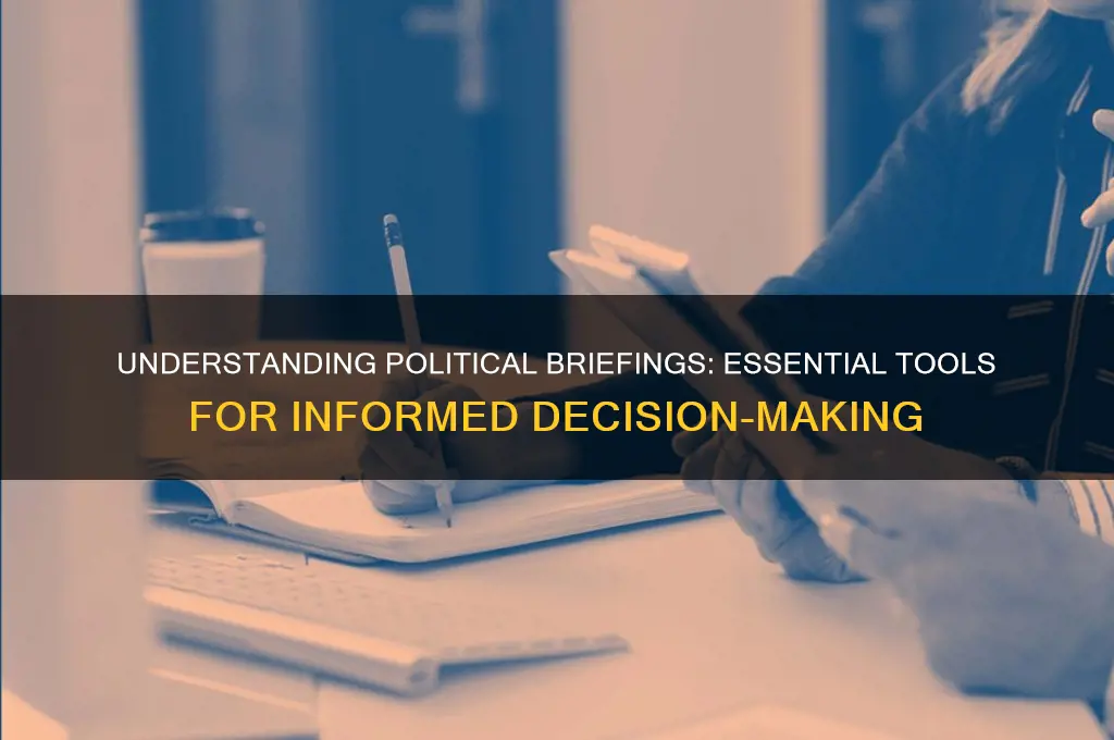 what is a political briefing
