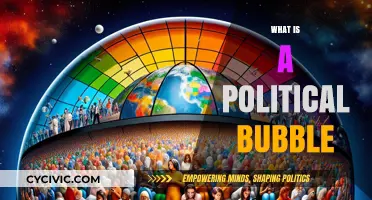 Understanding Political Bubbles: How They Shape Public Opinion and Policy