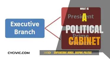 Understanding the Role and Function of a Political Cabinet
