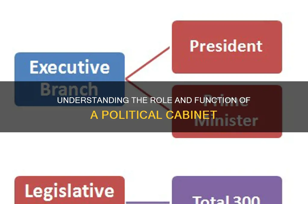 what is a political cabinet
