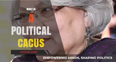Understanding Political Caucuses: Their Role, Function, and Impact in Politics