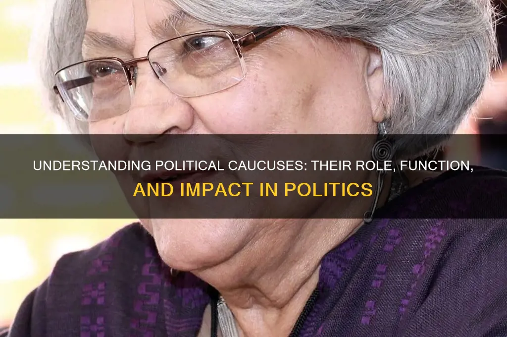 what is a political cacus