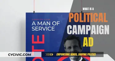Campaign Ads: Political Strategy or Propaganda?