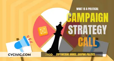 Campaign Strategies: Political Calls and Their Effectiveness