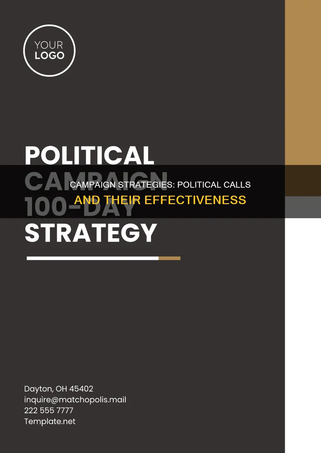 what is a political campaign strategy call