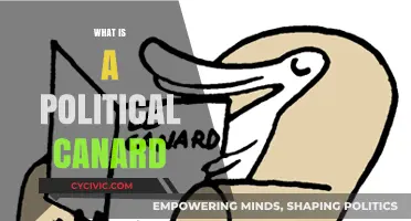 Unmasking Political Canards: Understanding False Narratives in Modern Politics