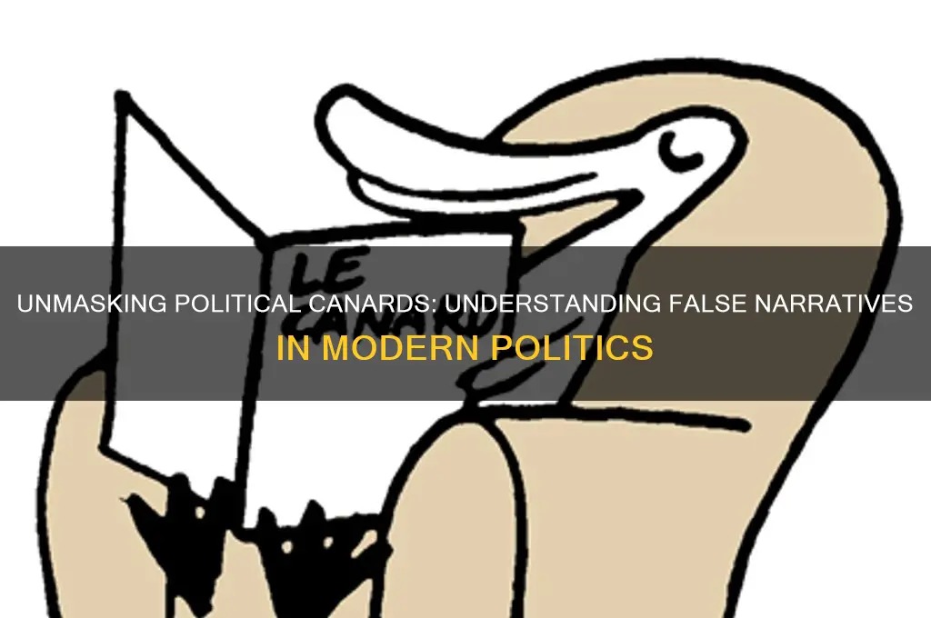 what is a political canard