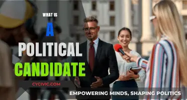 Understanding Political Candidates: Roles, Responsibilities, and Campaign Strategies