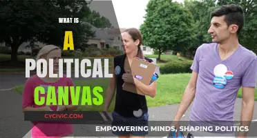 Understanding Political Canvassing: Strategies, Impact, and Campaign Essentials