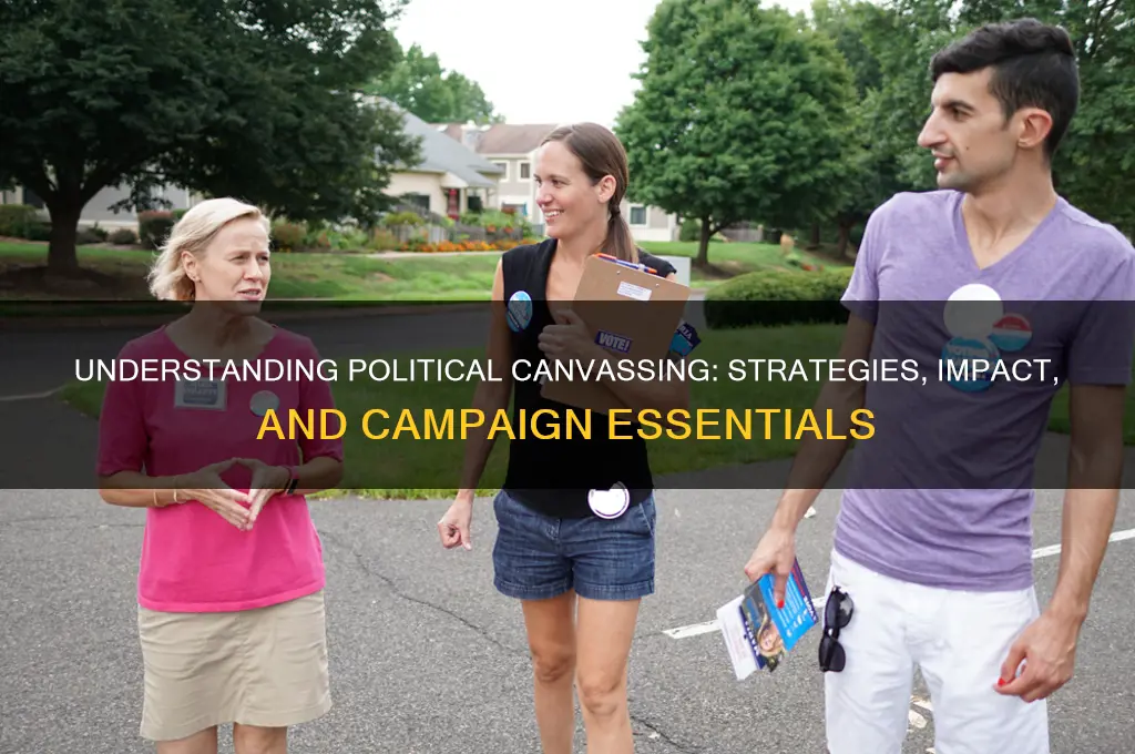 what is a political canvas