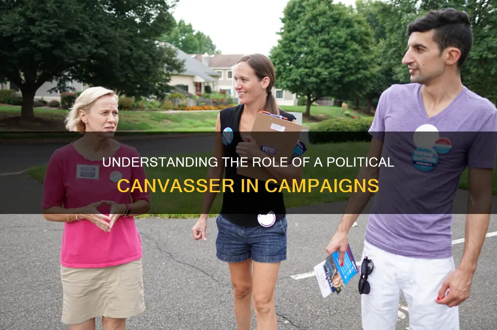 what is a political canvasser