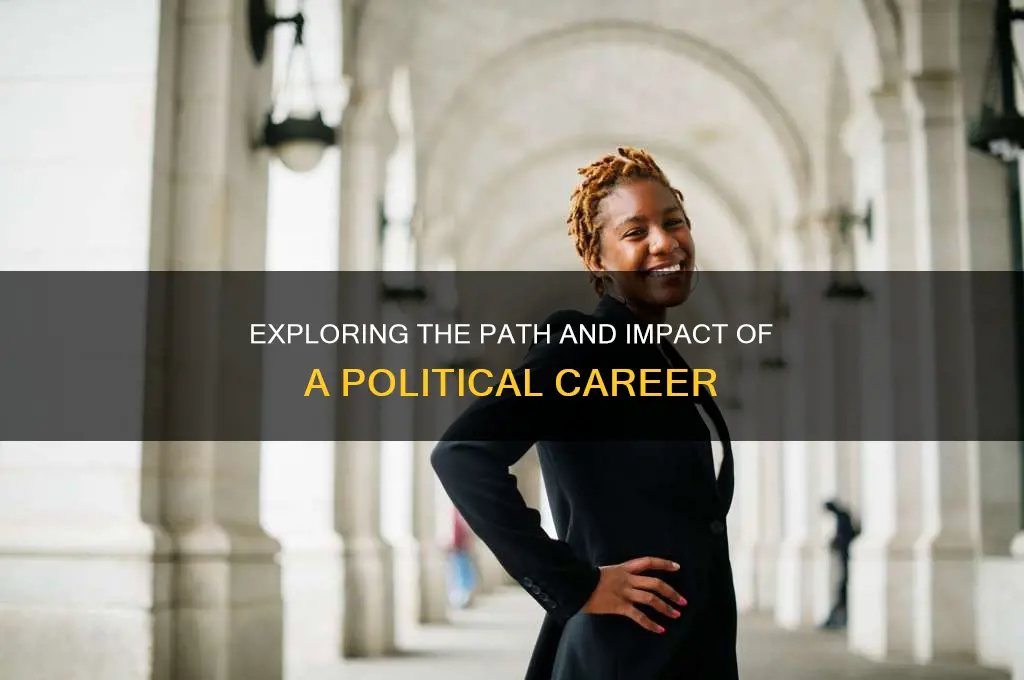 what is a political career