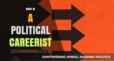 Understanding Political Careerists: Motivations, Tactics, and Impact on Governance