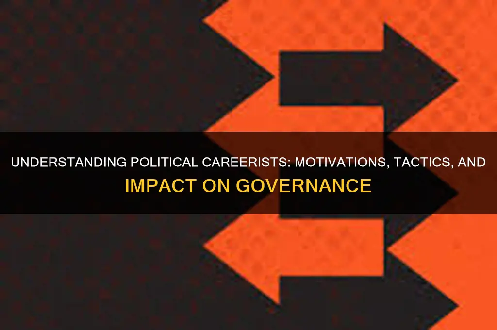 what is a political careerist