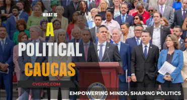 Understanding Political Caucuses: Their Role, Function, and Impact in Democracy