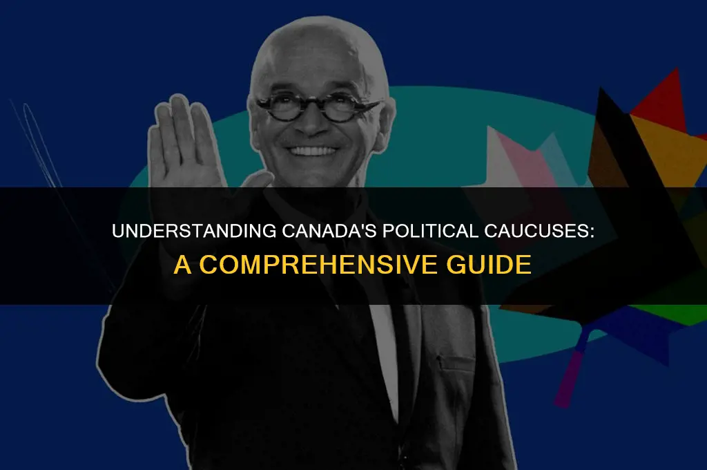 what is a political caucus in canada