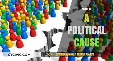 Understanding Political Causes: Definitions, Impact, and Real-World Examples