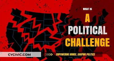 Understanding Political Challenges: Complexities, Impacts, and Navigating Solutions