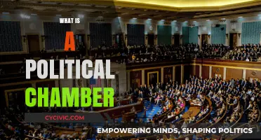 Understanding Political Chambers: Functions, Roles, and Global Significance Explained