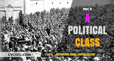 Understanding the Political Class: Power, Influence, and Societal Dynamics
