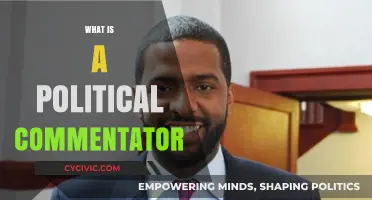 Understanding the Role of a Political Commentator in Modern Media